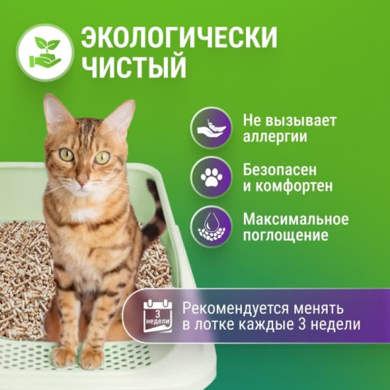 Таблетки «Щитовидная железа здоровая»