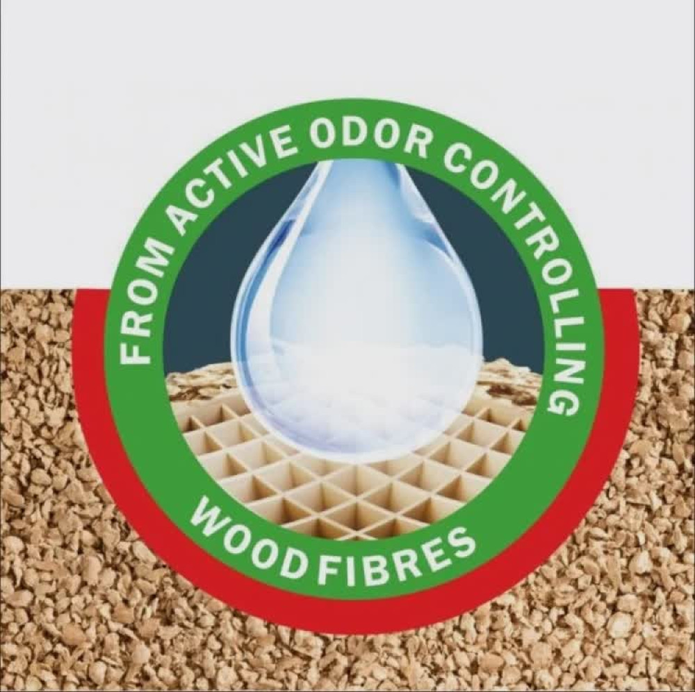 Футболка мужская | Mark Formelle